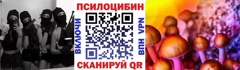 Псилоцибиновые грибы мицелий  Верея 