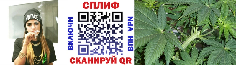 Каннабис Amnesia  Верея 